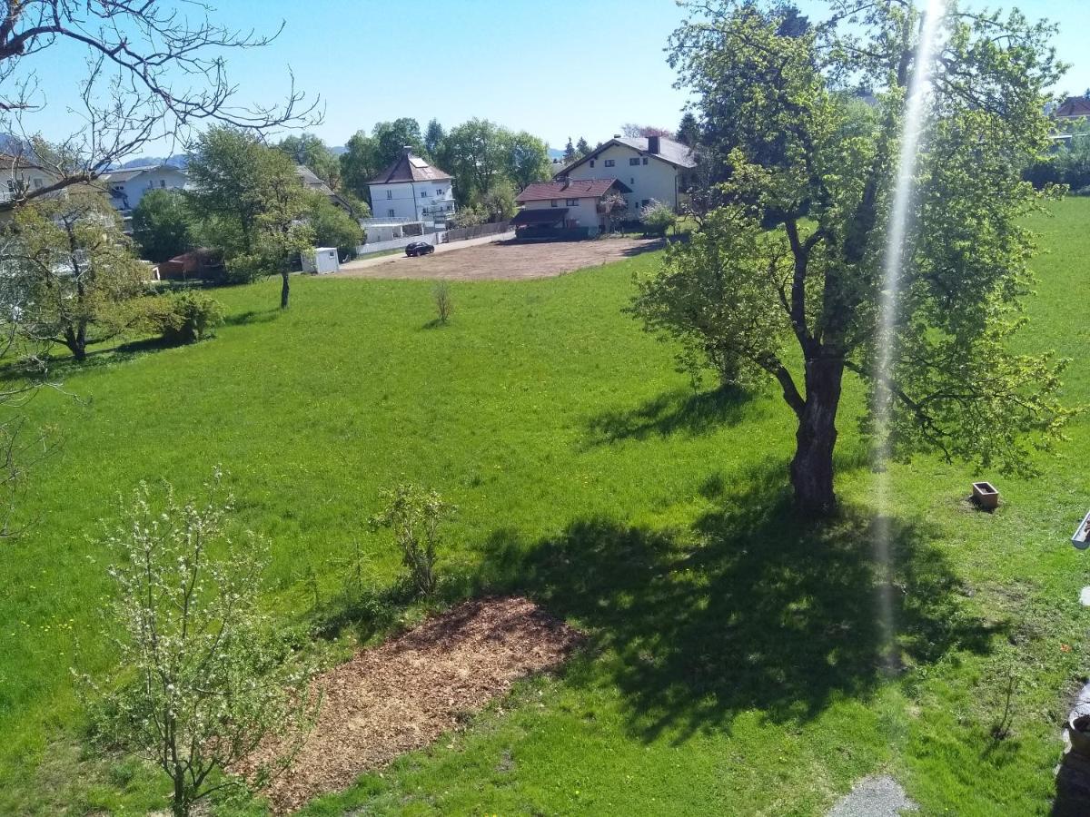 Ferienwohnung In Karnten Филах Екстериор снимка